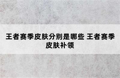 王者赛季皮肤分别是哪些 王者赛季皮肤补领